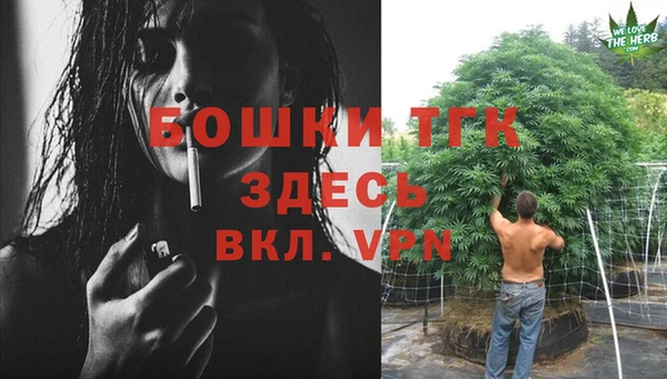 дживик Нефтекумск