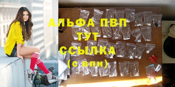ПСИЛОЦИБИНОВЫЕ ГРИБЫ Новокубанск