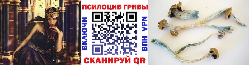 Галлюциногенные грибы ЛСД где купить Апатиты