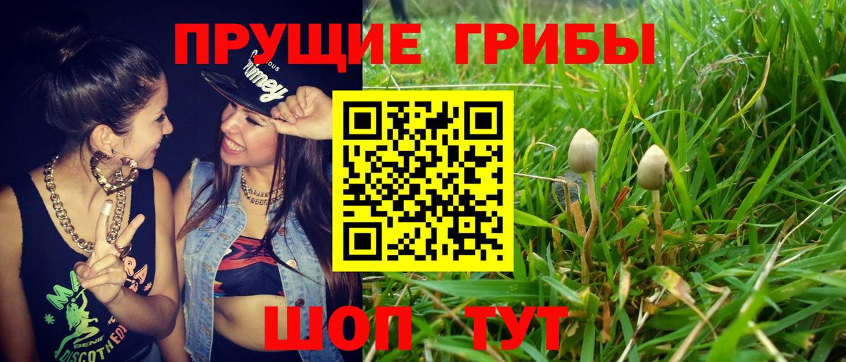 Галлюциногенные грибы GOLDEN TEACHER  Вход с VPN  Апатиты 