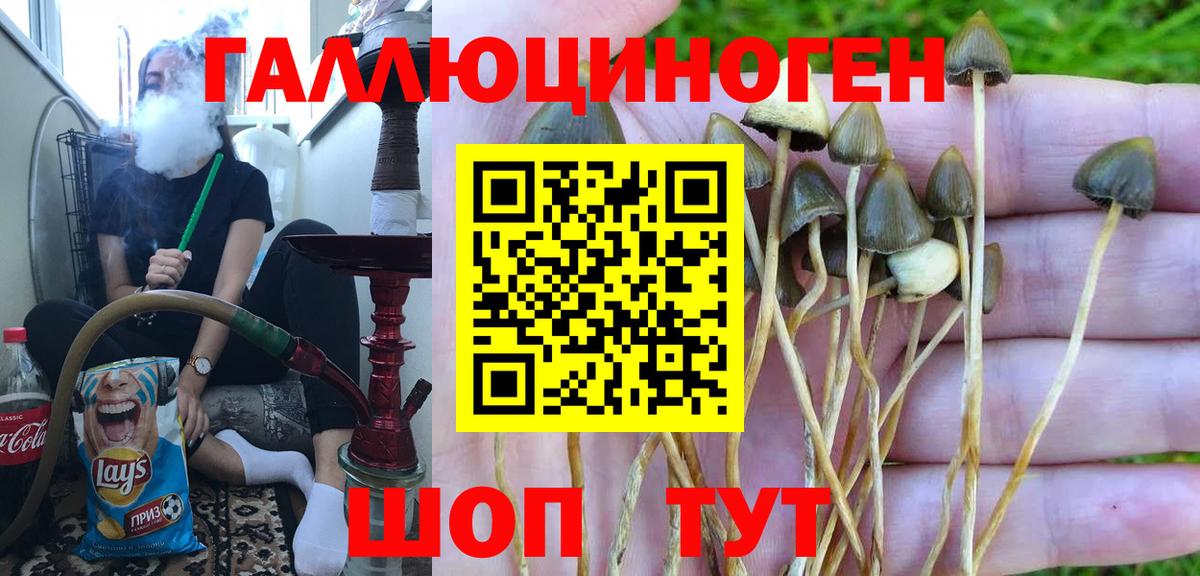 Псилоцибиновые грибы ЛСД Апатиты