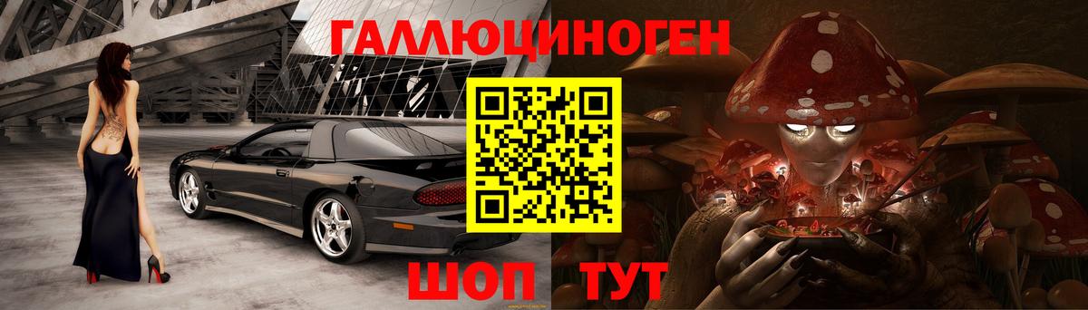 дарнет шоп  Вход с VPN  Апатиты  Псилоцибиновые грибы MAGIC MUSHROOMS 